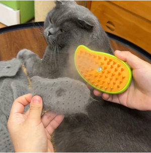 SteamGroom™ - Steamy Cat Brush